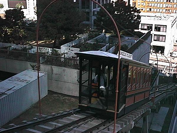 usr_m_angflt_12.jpg