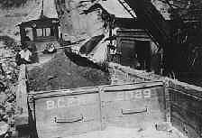 cnr_m_bc_vanintw_2029_bcer041.jpg