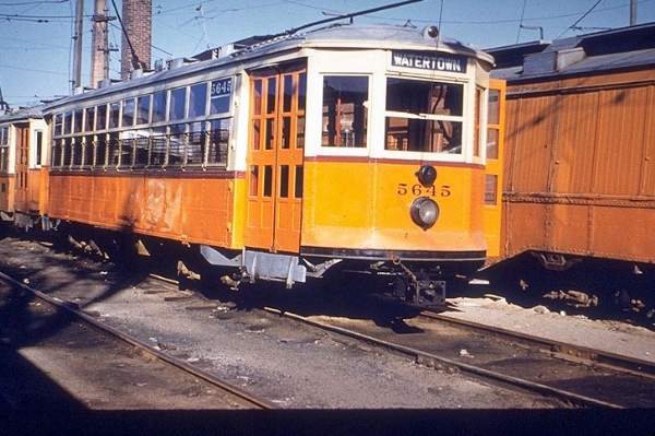 usr_m_bos_stcr_5645_jt_bos356.jpg