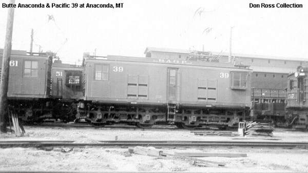usr_m_buanpa_39_anaconda_donross_18.jpg