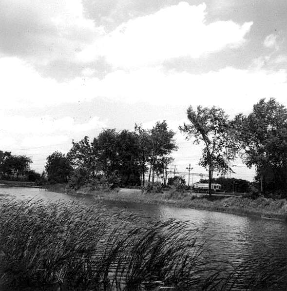 usr_m_chi+el_1-50_emilypark_1968_rhill_1120.jpg