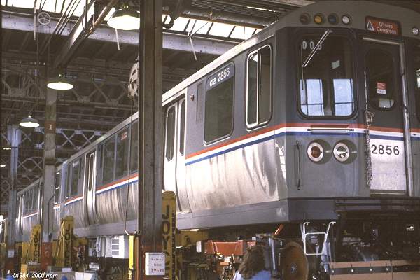 usr_m_chi+el_2856_skokieshops_mikcro_1195.jpg