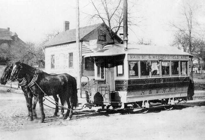 usr_m_ctco_pred_hawhr_horse2_18911200_bv_hw01.jpg