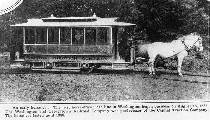 usr_m_dca_ctc_horse030_bv_ctc09.jpg