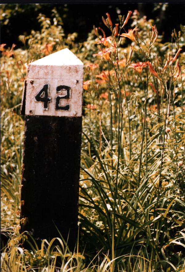 usr_m_dlw_misc_gladstone_milepost42_grksl_dlw038.jpg