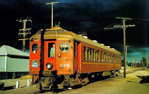 usr_m_lax+pe_0318_bellflower_bv_pe388.jpg