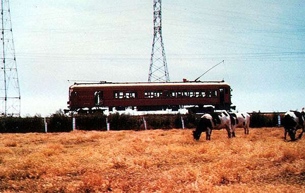 usr_m_lax+pe_blimps_stevehoskins_pe492.jpg