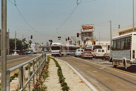 usr_m_laxmod_aline_1xx_washington+flower_19900800_bv_bl44.jpg