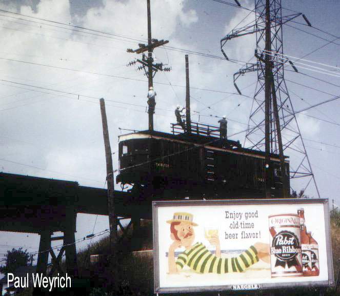 usr_m_mke_work_w020_pawekj_mke253.jpg