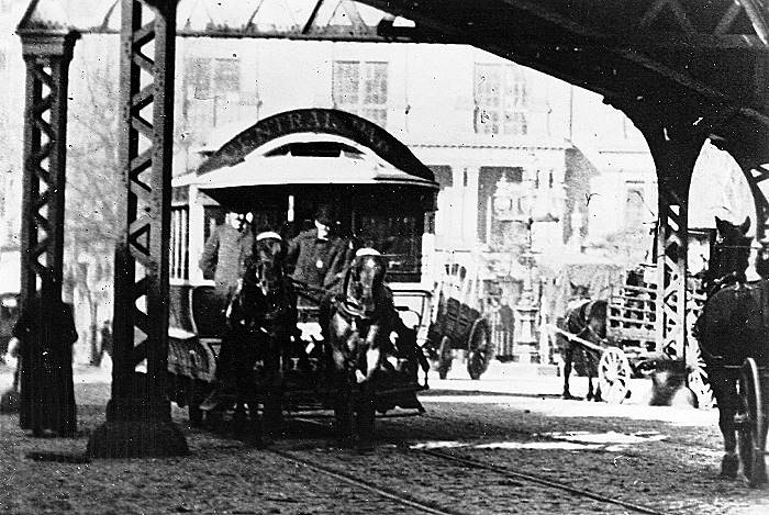 usr_m_nyc-oth_horse-4thave_bv_fah01.jpg