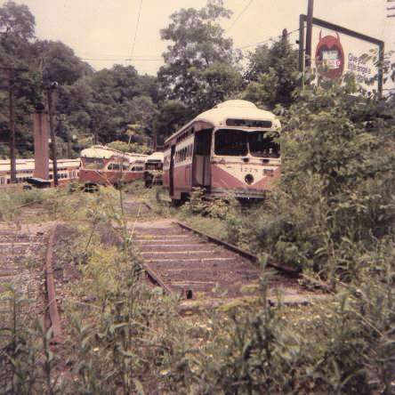 usr_m_pit_dotcs_23053_1778_rhkj.jpg