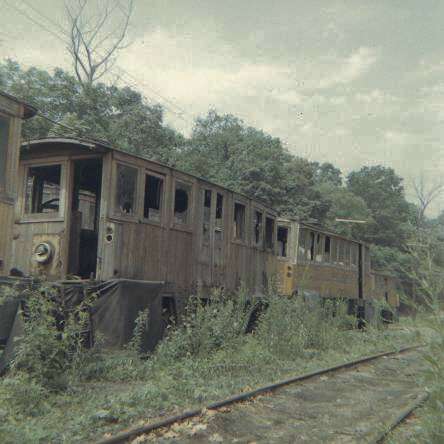 usr_m_pit_dotcs_23078_rhkj.jpg