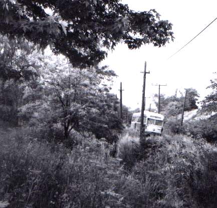 usr_m_pit_pcc_1711_shannonlibrary_02_rhkj.jpg