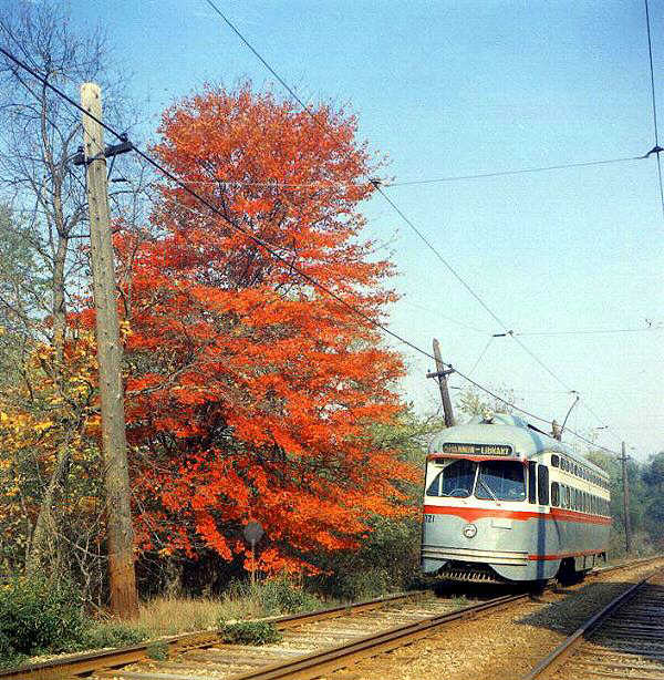 usr_m_pit_pcc_1727_shannonliberty_rhkj.jpg