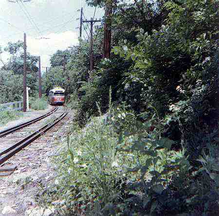 usr_m_pit_pccall_19042_rhkj.jpg