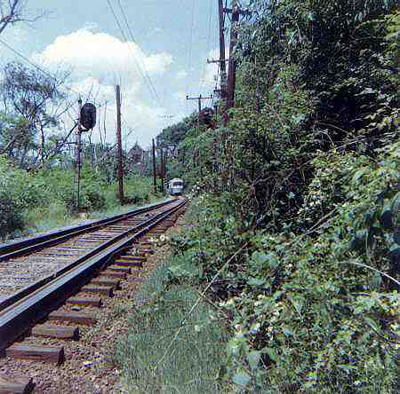 usr_m_pit_pccall_19059_rhkj.jpg