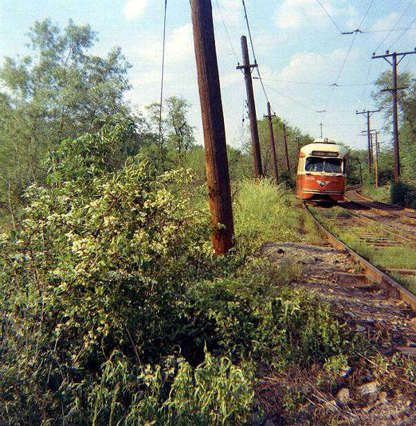 usr_m_pit_pccall_19101_rhkj.jpg