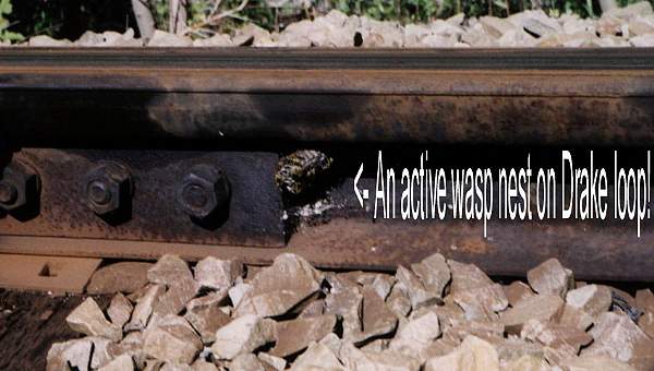 usr_m_pit_row_20008_drakeloopwaspsnest_rhkj.jpg