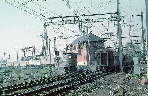 usr_m_prr_gg1_xxxx_philadelphia-zoo_bv_bvpr135.jpg
