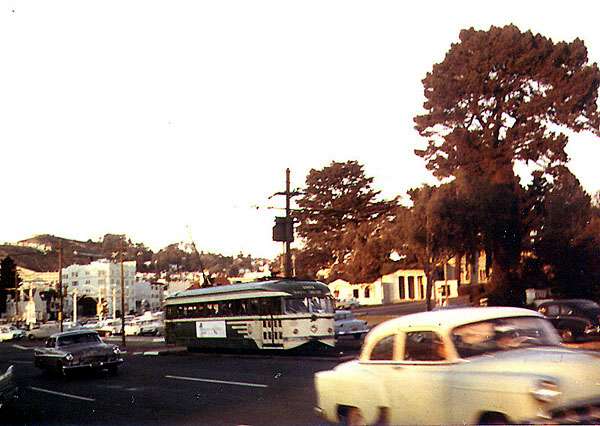usr_m_sfo_100x_juniperoserra+sloat_kh_sf200.jpg