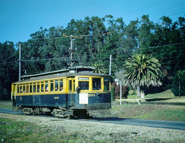 usr_m_sfo_msry1233_sfv065.jpg