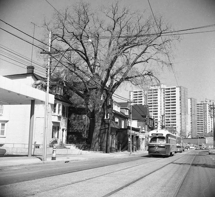 cnr_m_tor_pcal'xxxx_broadview+dearbourne_rhill-br_ttc368.jpg